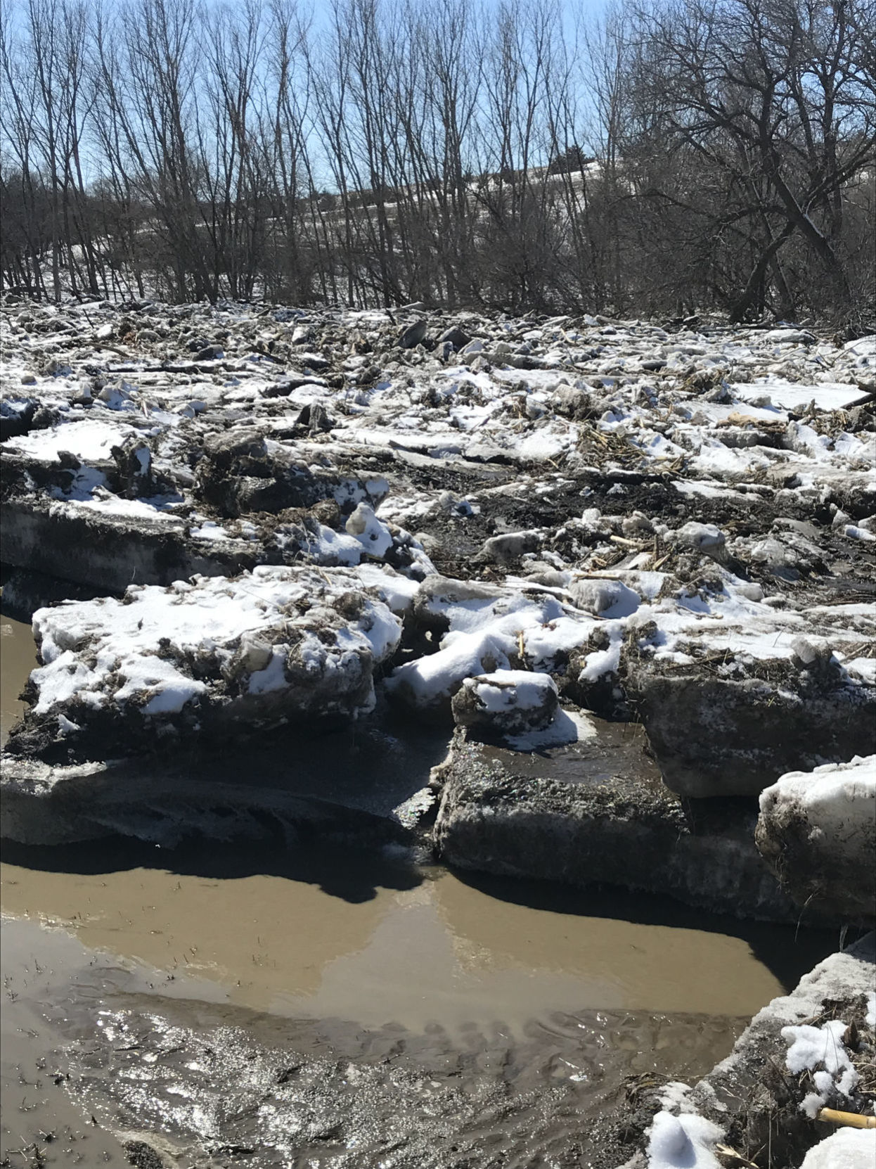 2019 flooding